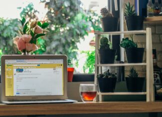 Přestal vám fungovat Microsoft Office na Macu?
